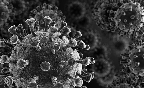 3D Rendering des Corona Virus auf Basis elektronenmikroskopischer Aufnahmen